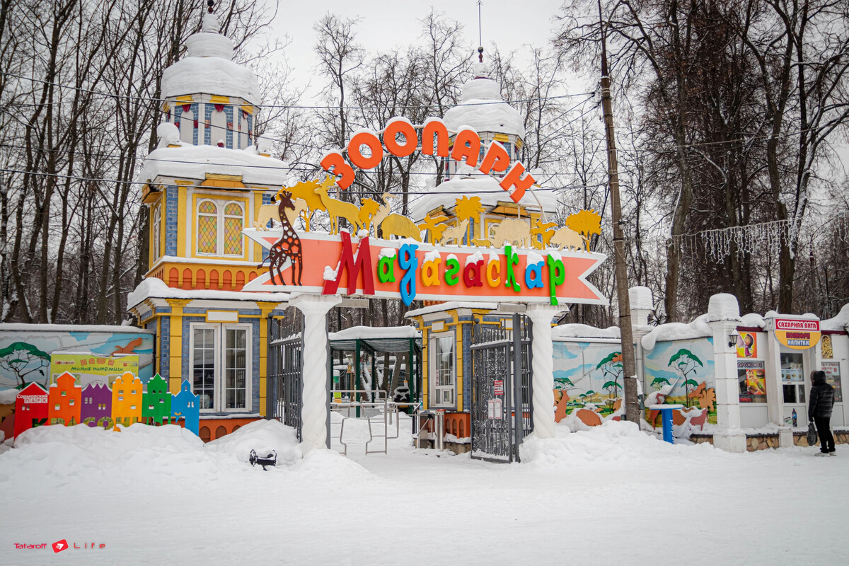 Зоопарк день города. Зоопарк Мадагаскар. Зоопарк Мадагаскар Нижний Новгород. Зоопарк Мадагаскар Саратов. Нижний Новгород зоопарк Мадагаскар фото.