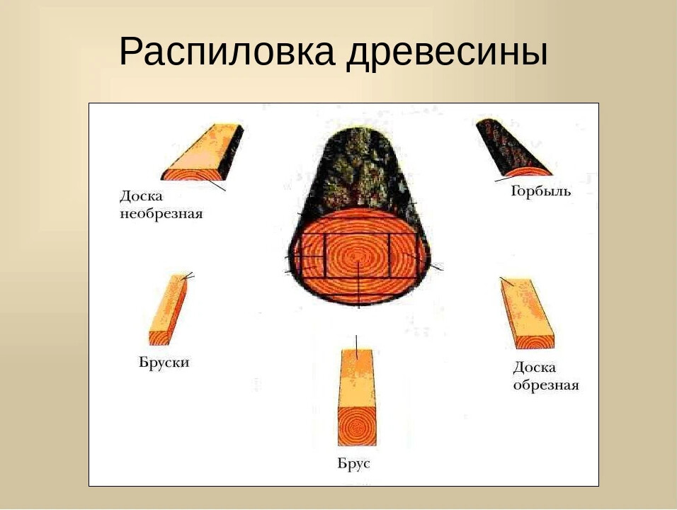 Как называется природный рисунок на поверхности древесины