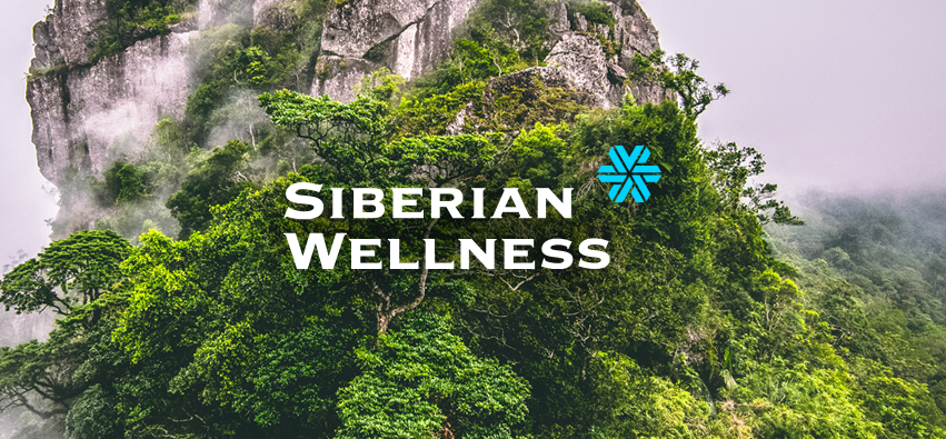 Siberian wellness картинки логотип