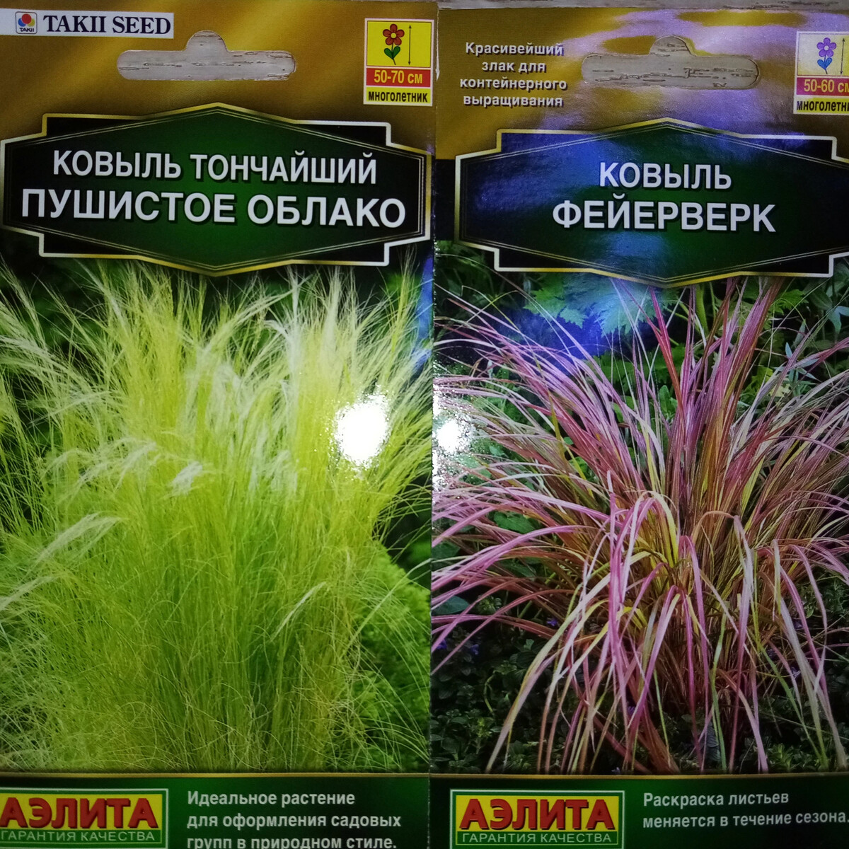 Ковыль пушистое облако