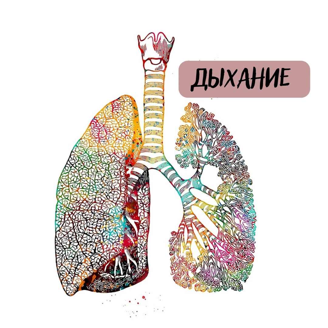 наутилус помпилиус дыхание слова. дыхание слова. дыхание слова. наутилус помпилиус титаник текст. дыхание текст песни.