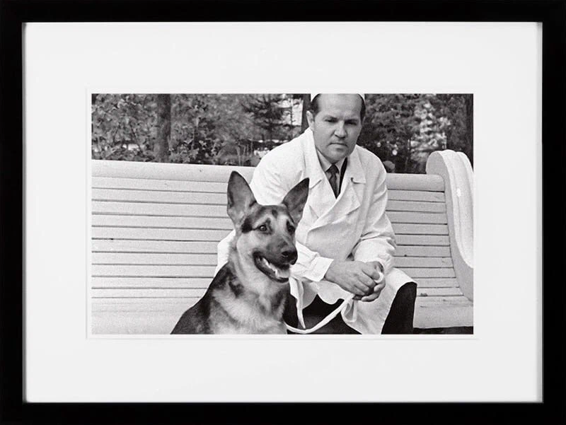 Демихов модель органа. Демихов модель органа. Демихов юность. Демихов модель органа. Демихов модель органа.