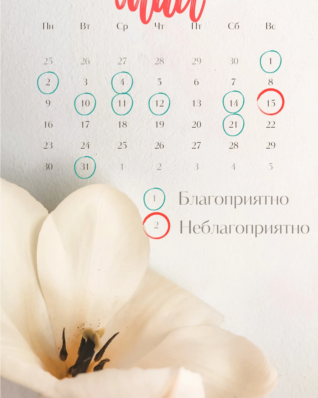 Календарь красоты на август 2024 года. Календарь красоты. Картинки к теме календарь красоты. Календарь красоты на сентябрь 2018