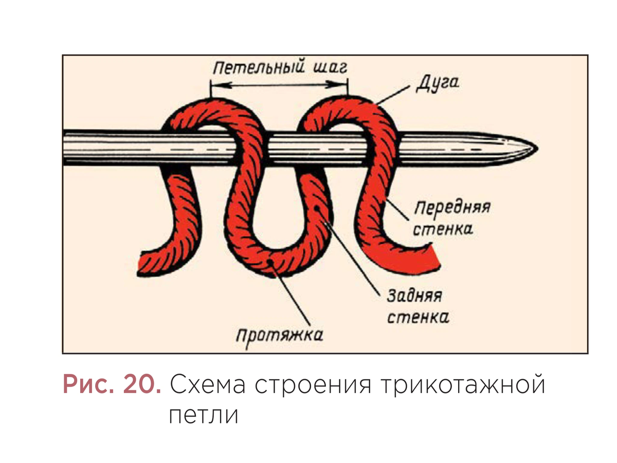 Задняя стенка петли