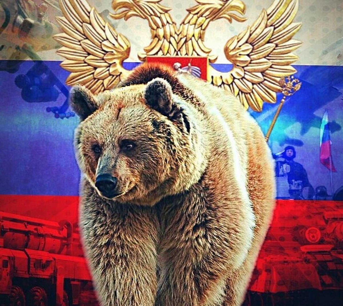 Русский медведь картинки скачать
