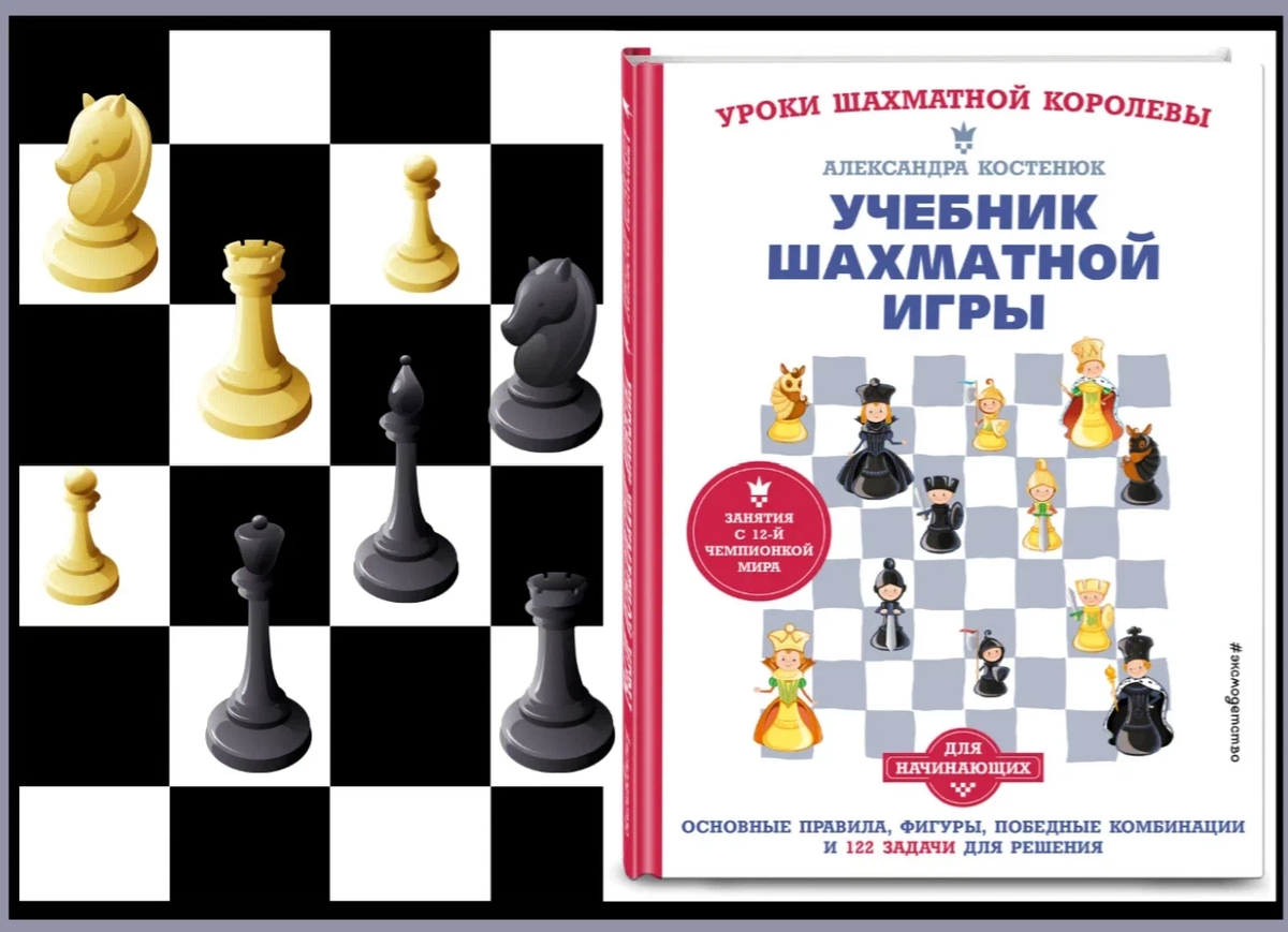 Самоучитель по шахматам. Шахматная школа владимир барский рабочая тетрадь ответы. Книга начинающего шахматиста обложка. Майзелис шахматы 1960. Книга шахматы для начинающих.