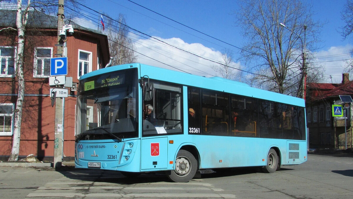 Автобус 259 маршрут на карте. 259 Автобус СПБ. 259 Маршрутка СПБ.