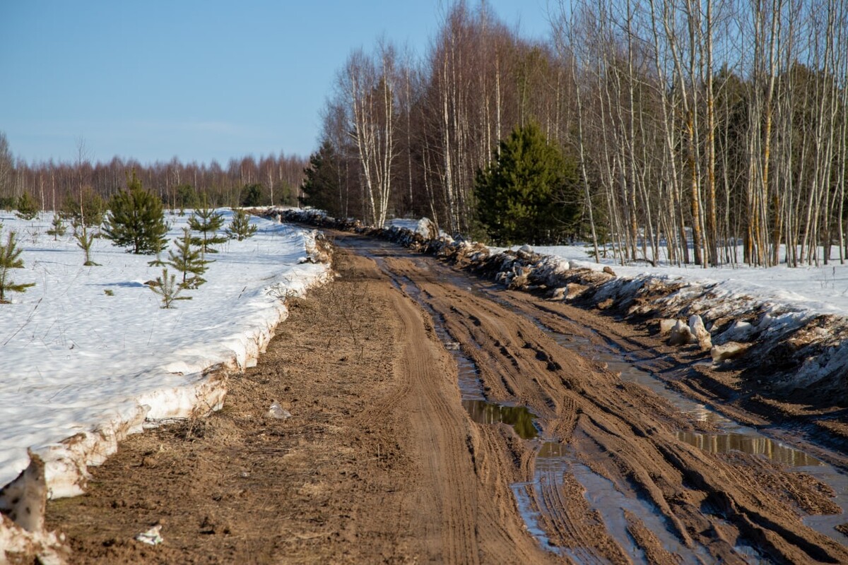 Весенняя распутица 2024