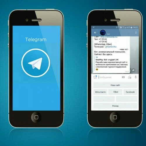 Телеграм бот телефон. Чат боты в телеграмме. Бот мессенджер телеграмм. Телеграмм разработка. Бот с телефоном.