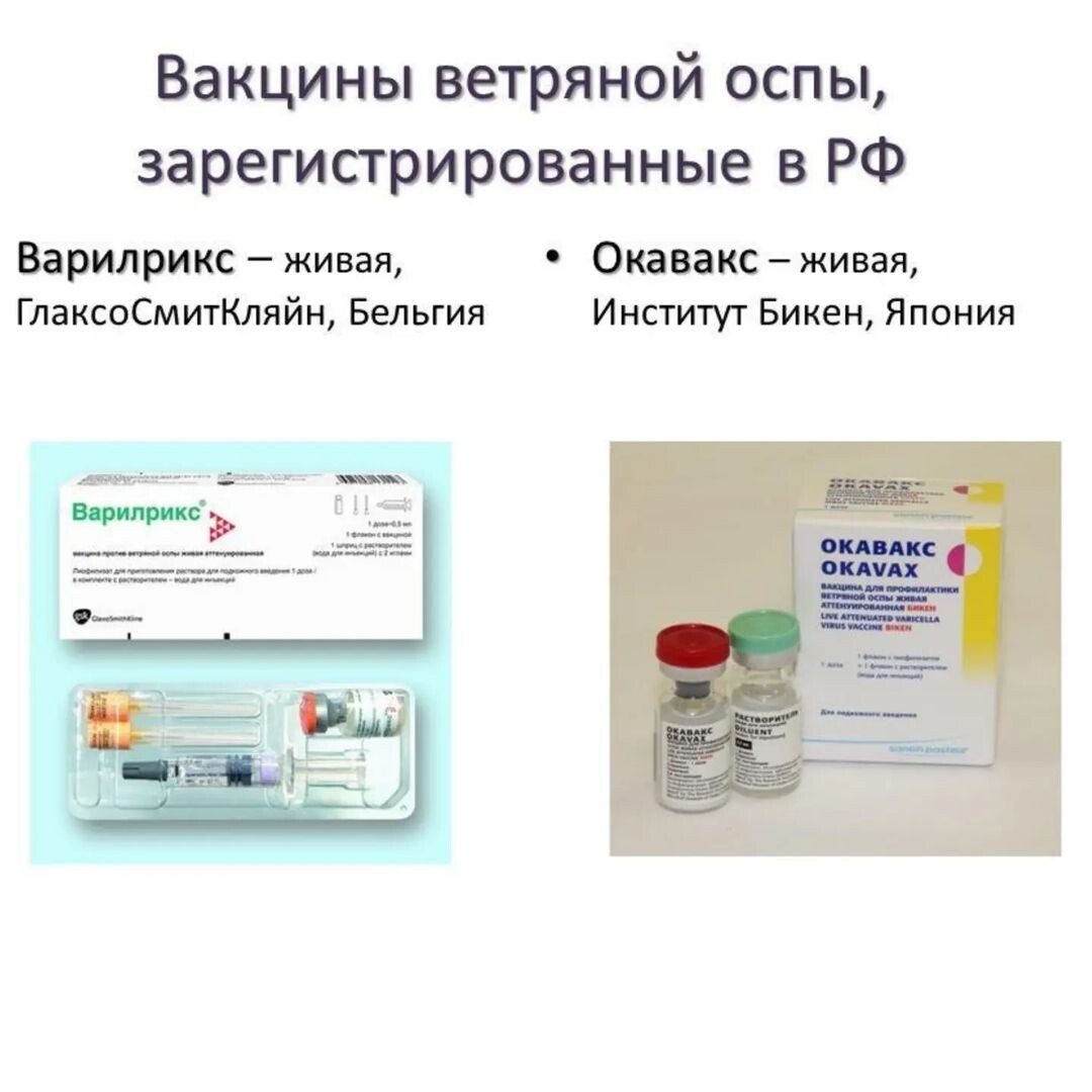 Вирус коксаки или ветрянка. Ветрянка или энтеровирус. Прививка против ветряной оспы детям схема. Прививка от ветрянки детям стоит ли делать. Прививка от ветрянки детям стоит ли делать.