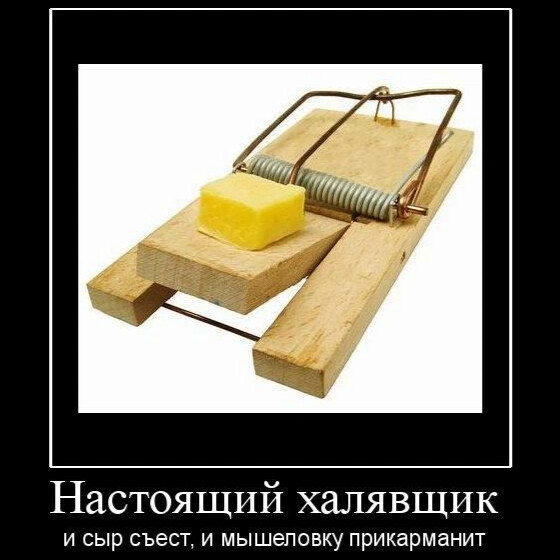 Бесплатный сыр только в мышеловке картинки