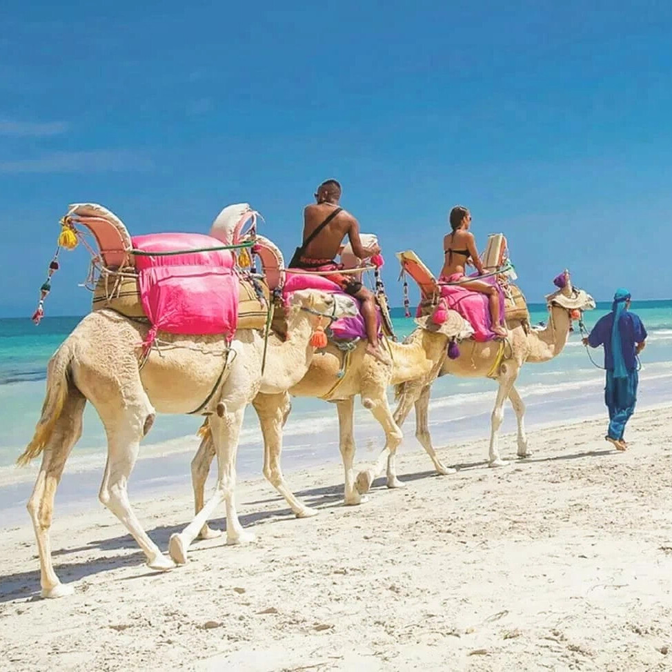 курорты в тунисе