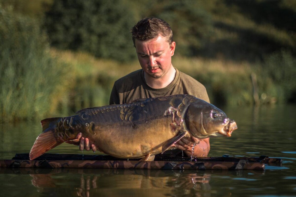 Дзен рыбалка. Carp today. Carptoday Fest.