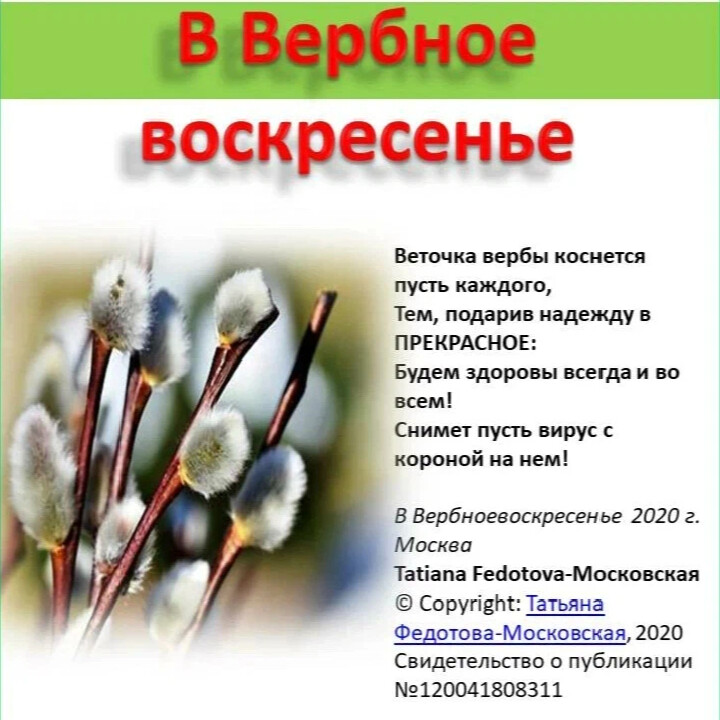 Сколько веток. Вербное воскресенье традиции. Вербное воскресенье детям о празднике. Передай веточку вербы. Вербное воскресенье что нельзя делать.