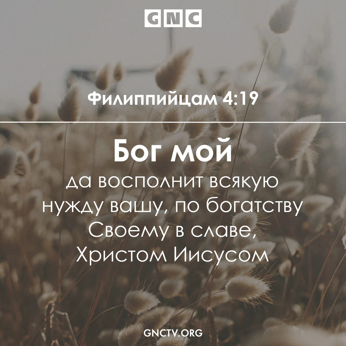 Филиппийцам. Филиппийцам 4 19. Бог мой да восполнит всякую нужду Вашу по богатству своему. Бог восполнит всякую нужду. Филиппийцам 4 4.