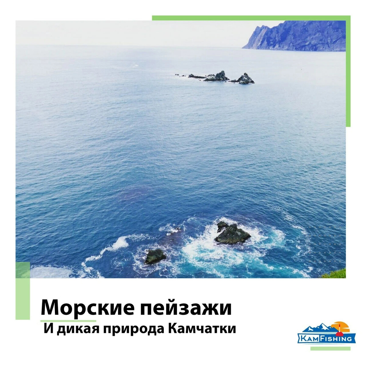 Камчатка телеграмм. Где можно покататься на коньках. Камчатка город елизово. Экосистема заповедный край. Камчатка телеграмм.