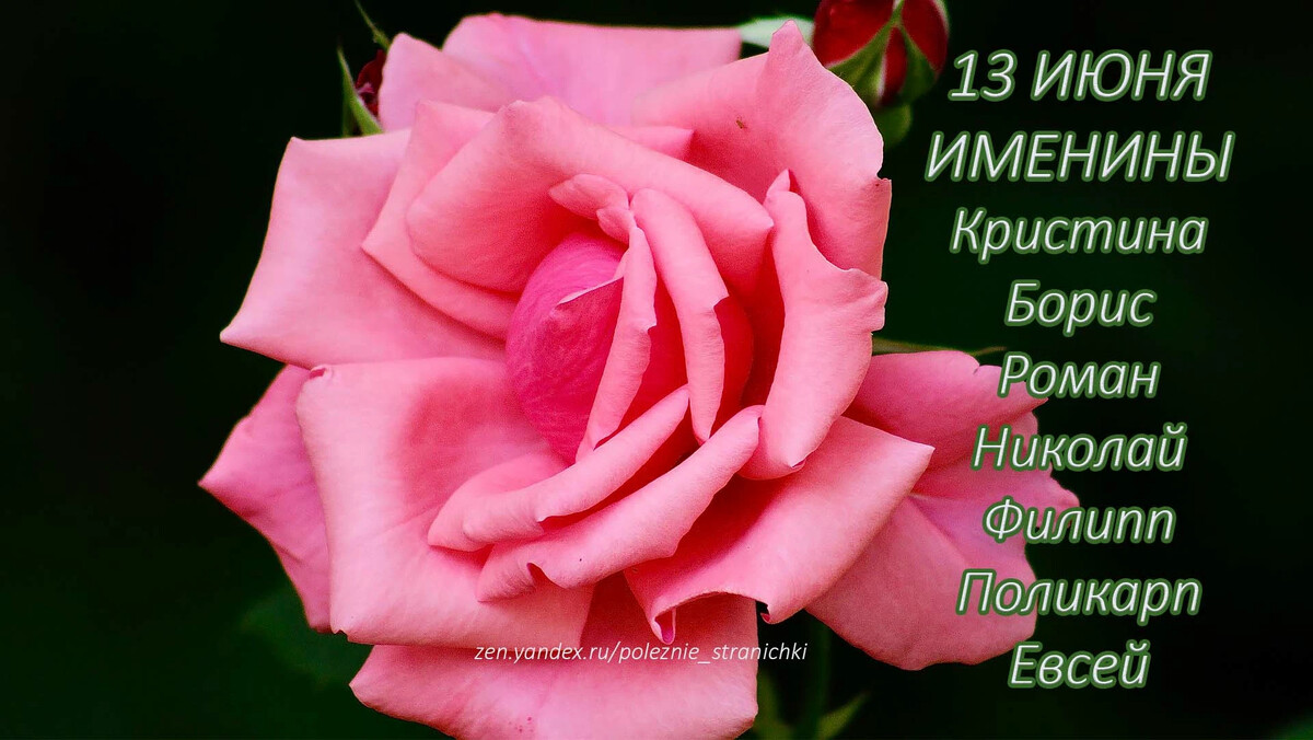 именины 13 августа. поздравления с днём ангела елисавета. 26 августа именины женские. с днем ангела елизавета открытка. 26 августа календарь.