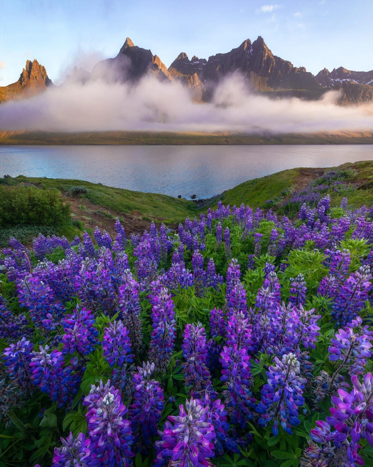 Самые красивые картинки фото картинки
