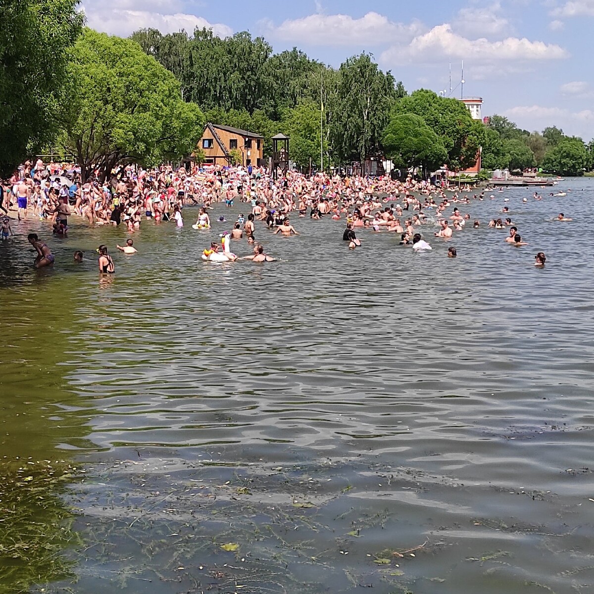 Мещерские озера отзывы. Мещерский пруд в Солнцево. Пляж Солнцево Мещерский. Мещерский парк пляж. Мещерский лес Солнцево озеро.