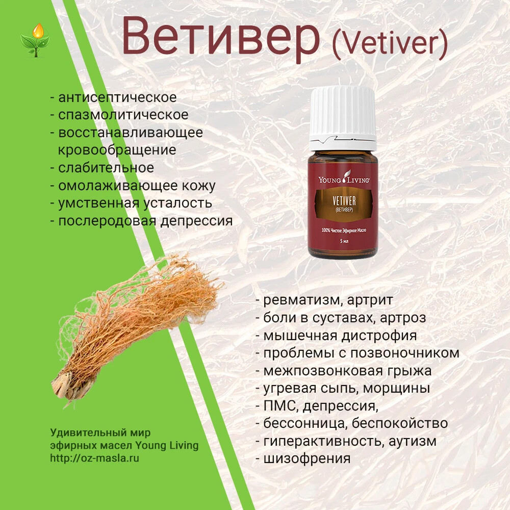 Масло ветивера свойства. Ветивер young Living. Ветивер масло. Vetiver эфирное масло. Мир эфирных масел.