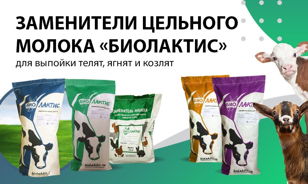Зцм для телят биолактис. Зцм для телят спектолак 16 %. Зцм биолактис 25. Биолактис для козлят. Заменитель молока биолактис.