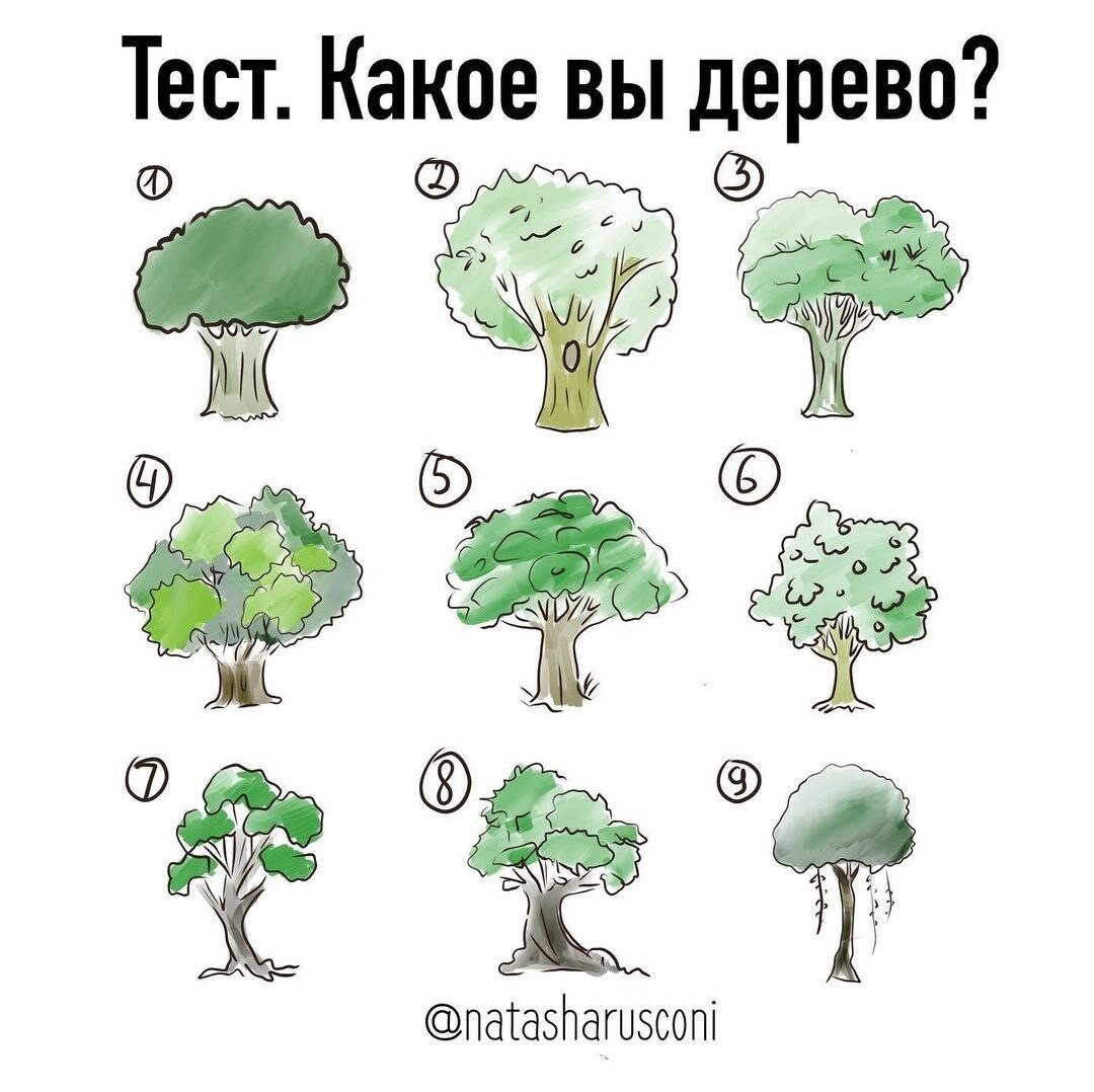 Какое дерево ответ. Какое ты дерево.