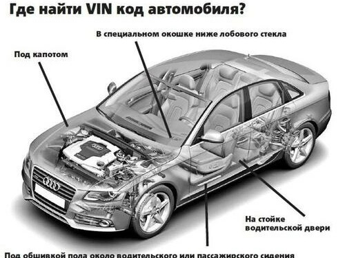 Как должен выглядеть вин номер
