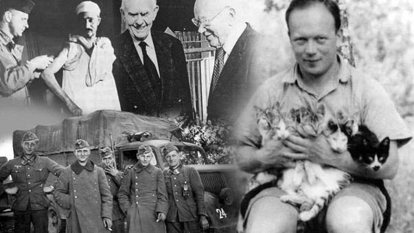 Польские герои-врачи Станислав Матулевич и Евгениуш Лазовский однажды  спасли… | Загадки истории | Дзен