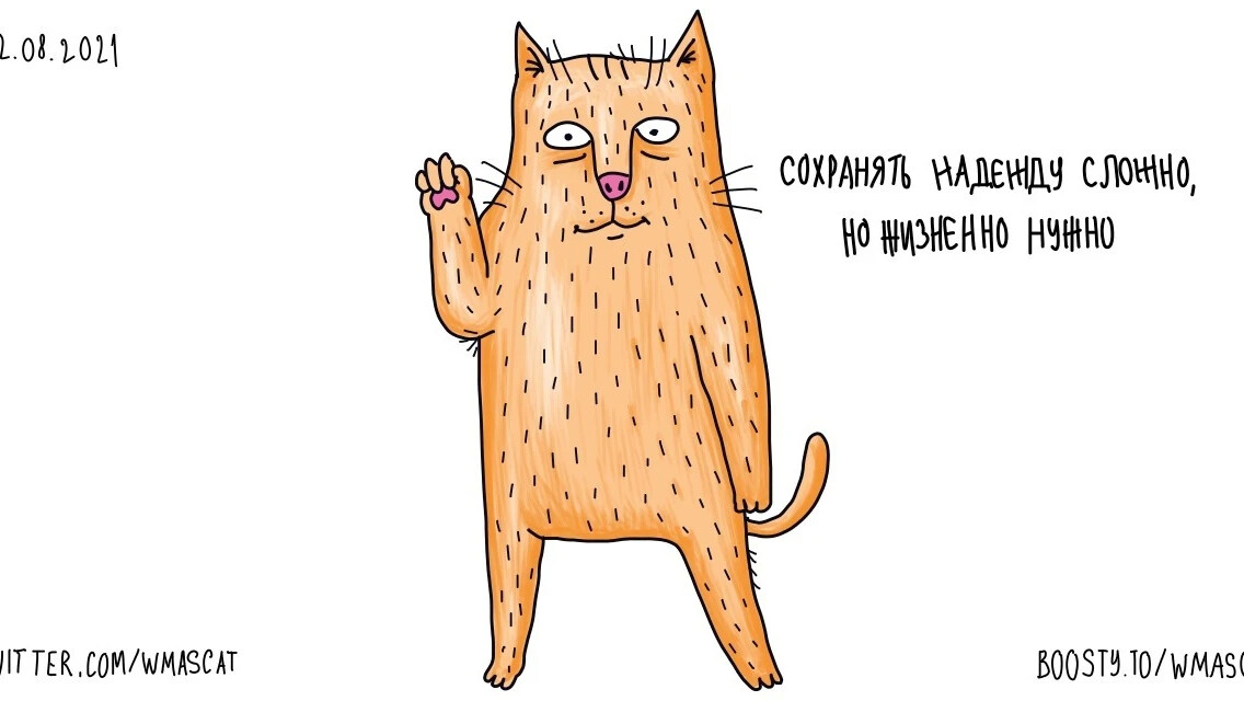 Дзен кот без лап. Дзен кот без лап. Невозмутимый кот. Кошка без лапки. Дзен кот без лап.