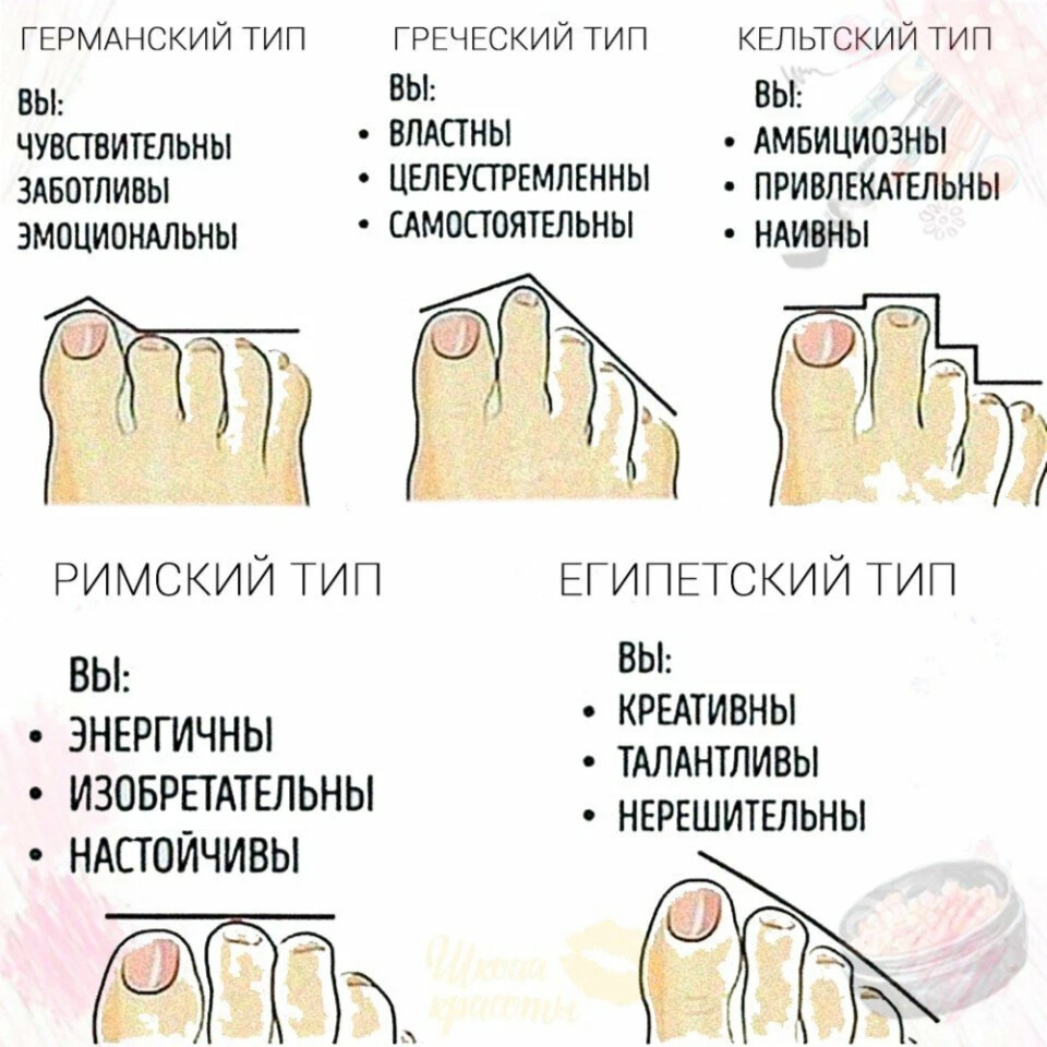 Пальцы у женщин значение. Как определить характер человека по форме пальцев на ногах. По пальцам на ногах определить. Типы форм пальцев на ногах. Тип человека по пальцам ног.