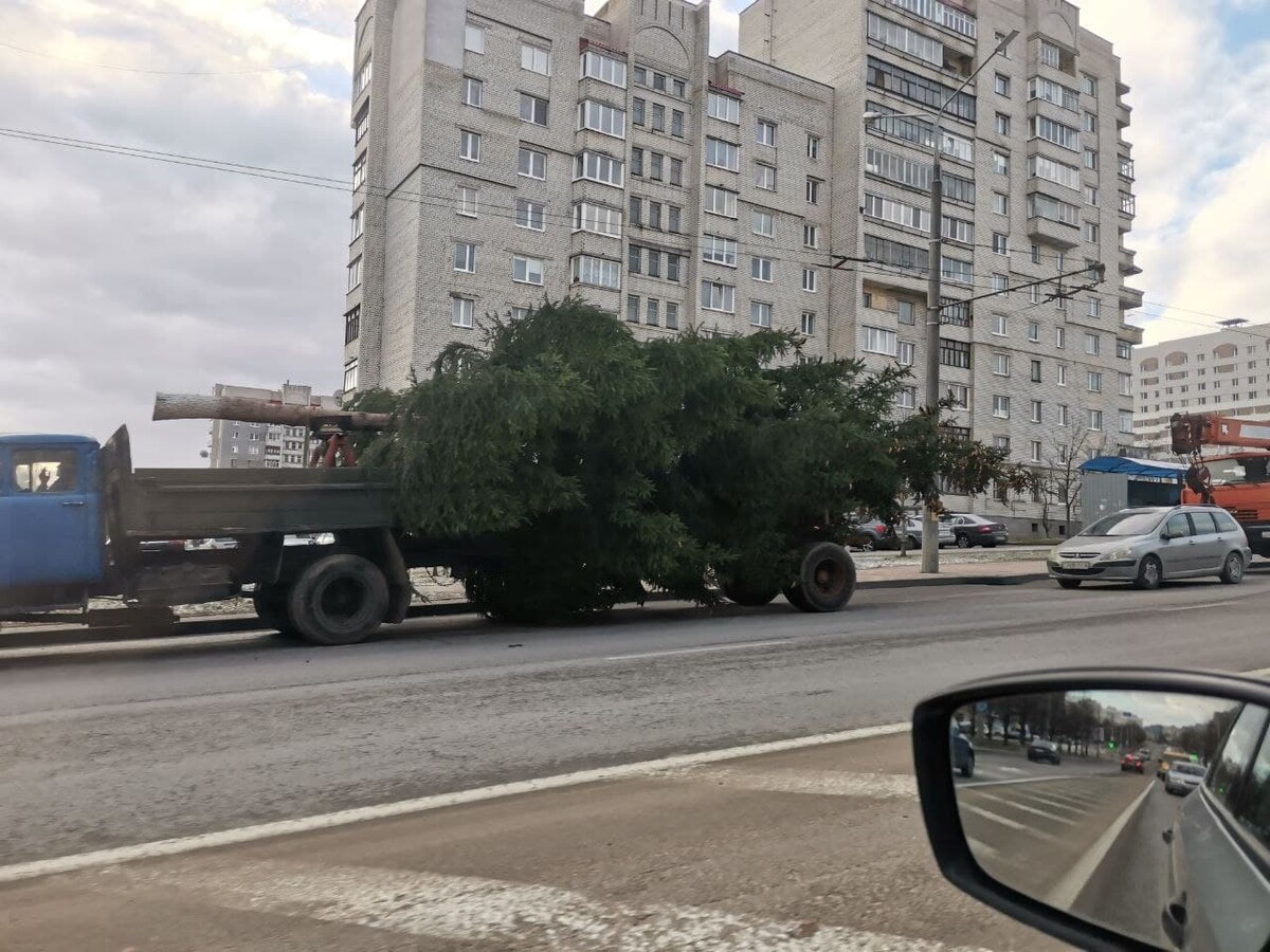 Блог s13 новости гродно. Девятовка Гродно.