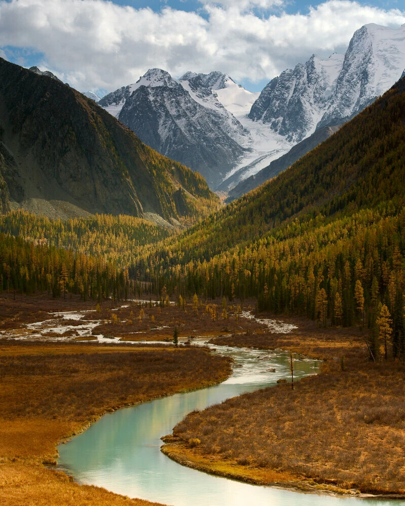 Шавла Алтайский край