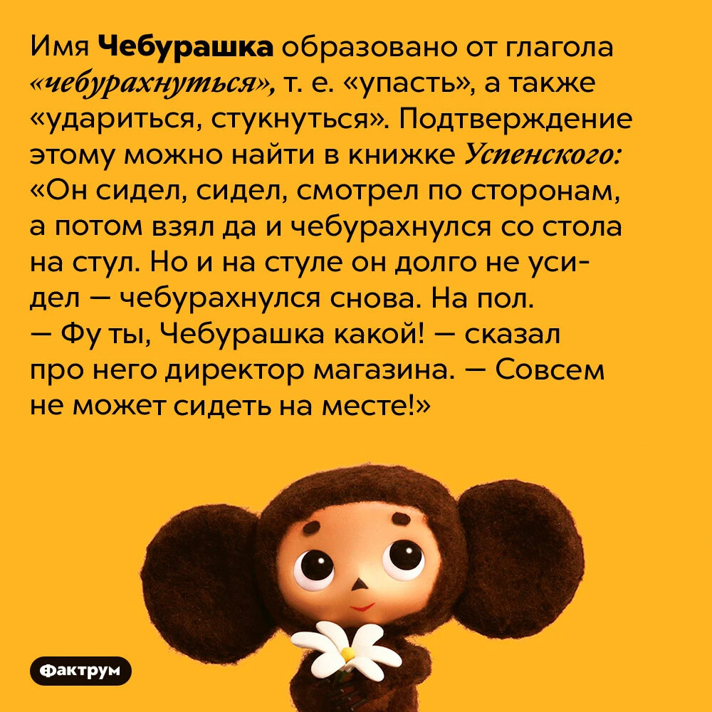 Интересные факты о Чебурашке. Чебурашка имя. Чебурашка название. Чебурашка кличка.