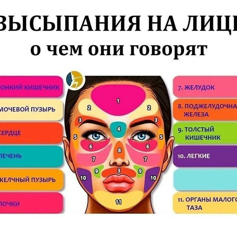 Прыщи на лице за какие органы отвечают у женщин после 50 лет картинки