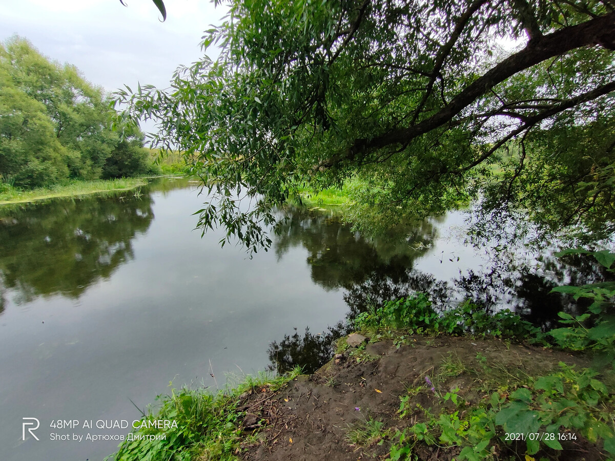 Река непрядва. Непрядва (река). Дон река у Куликова поля. Дон в районе Куликова поля. Непрядва и Дон.