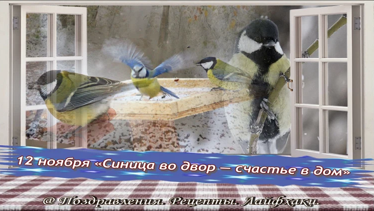 Синица в квартире примета