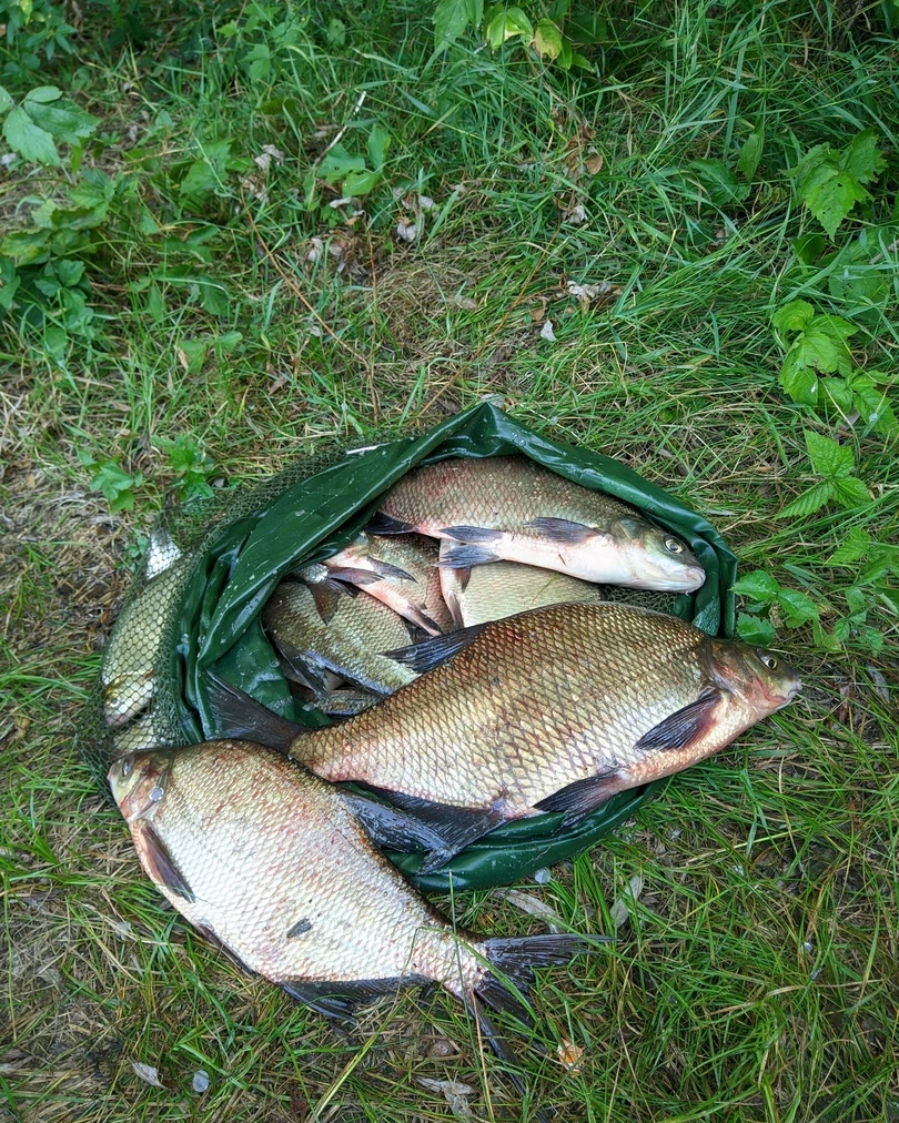 русская рыбалка 1. нигатив на рыбалку слушать. триада рыбалка. триада рыбалка. нигатив с женой фото.