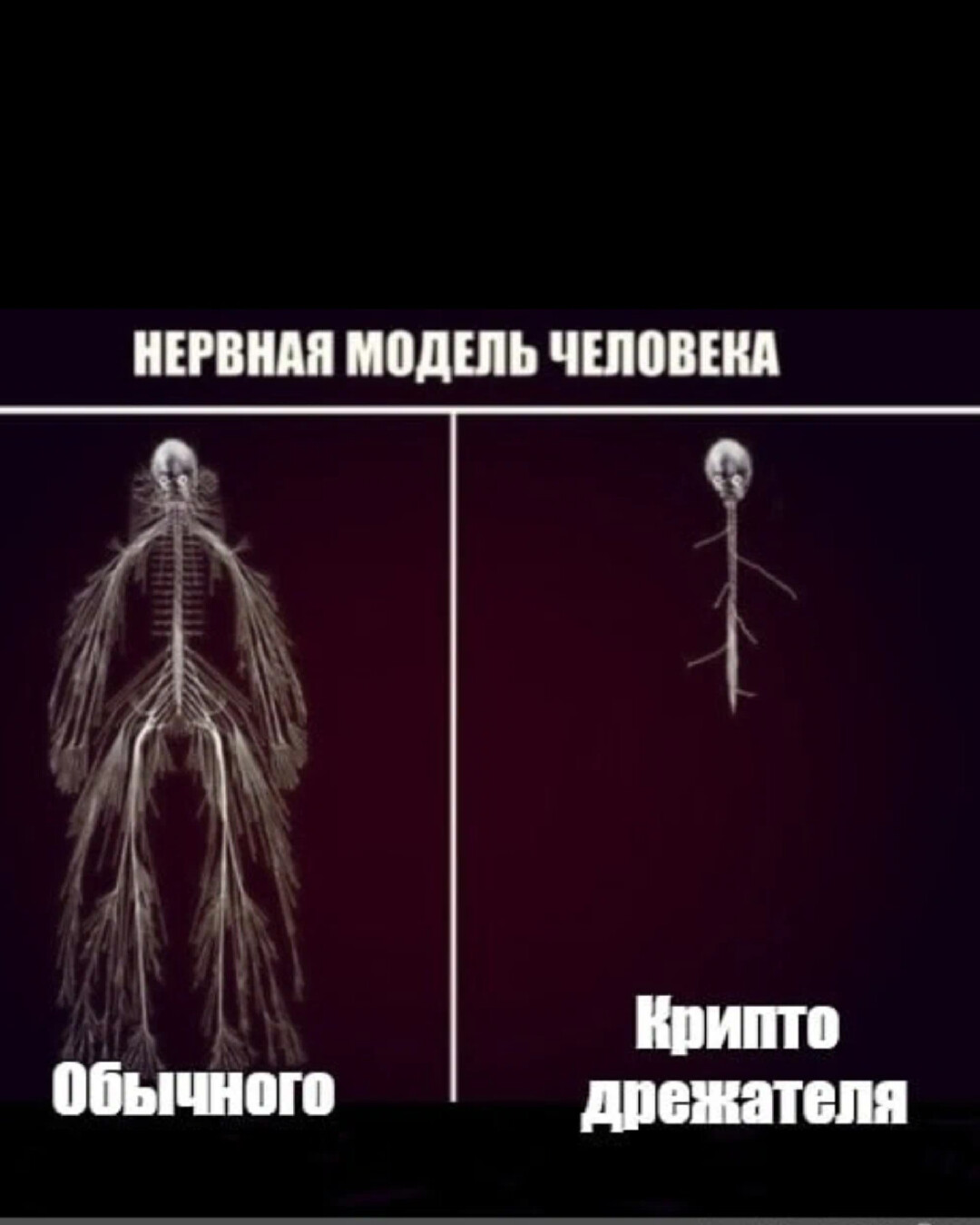 Meme крипта