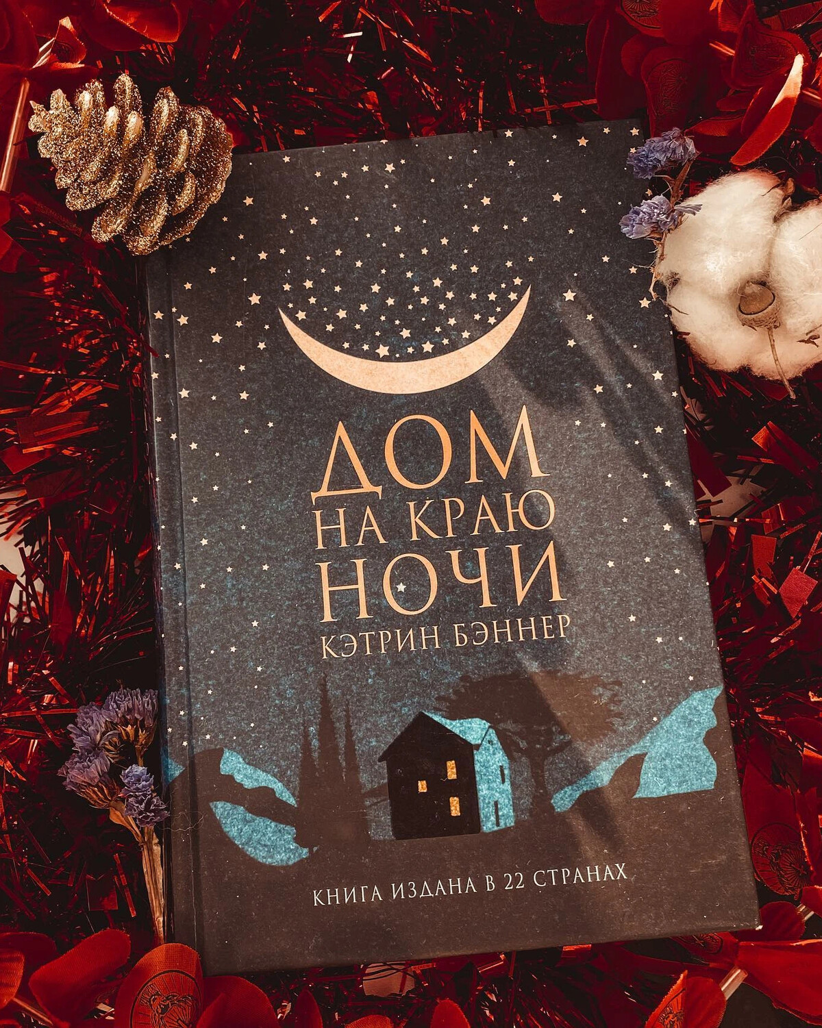 Воистину итальянская история! 🍷 Кэтрин Бэннер «Дом на краю ночи» - Casa  al… | Лариса. It is the book | Дзен