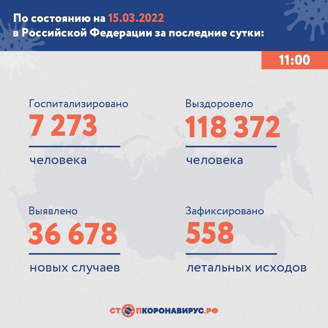 Свежие цифры по коронавирусу: В России за минувшие сутки выявлено 33 548 новых