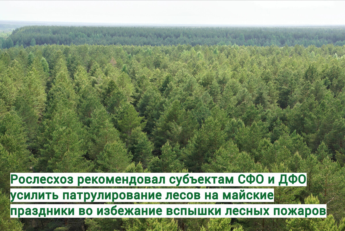 Рослесхоз являются ли военными. Рослесхоз центр бланк семян лиственницы.