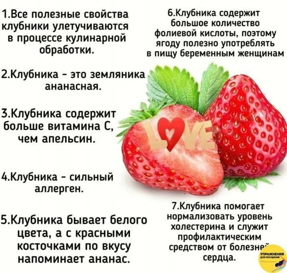 Как клубника влияет на стул