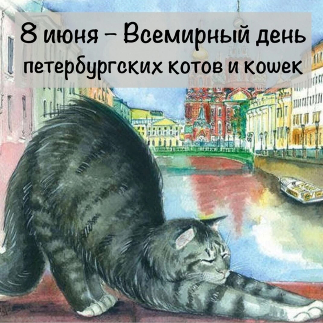 всемирный день кошек