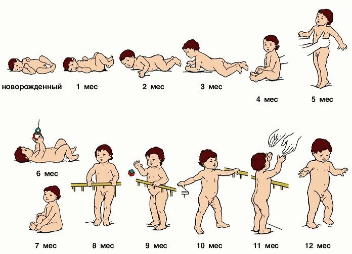 Схемы развития ребенка