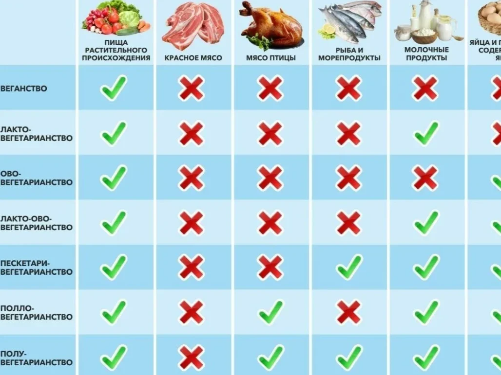 Виды вегетарианства. Вегетарианцы едят рыбу. Типы вегетарианства питания. Виды вегетарианства таблица. Веганы едят мясо