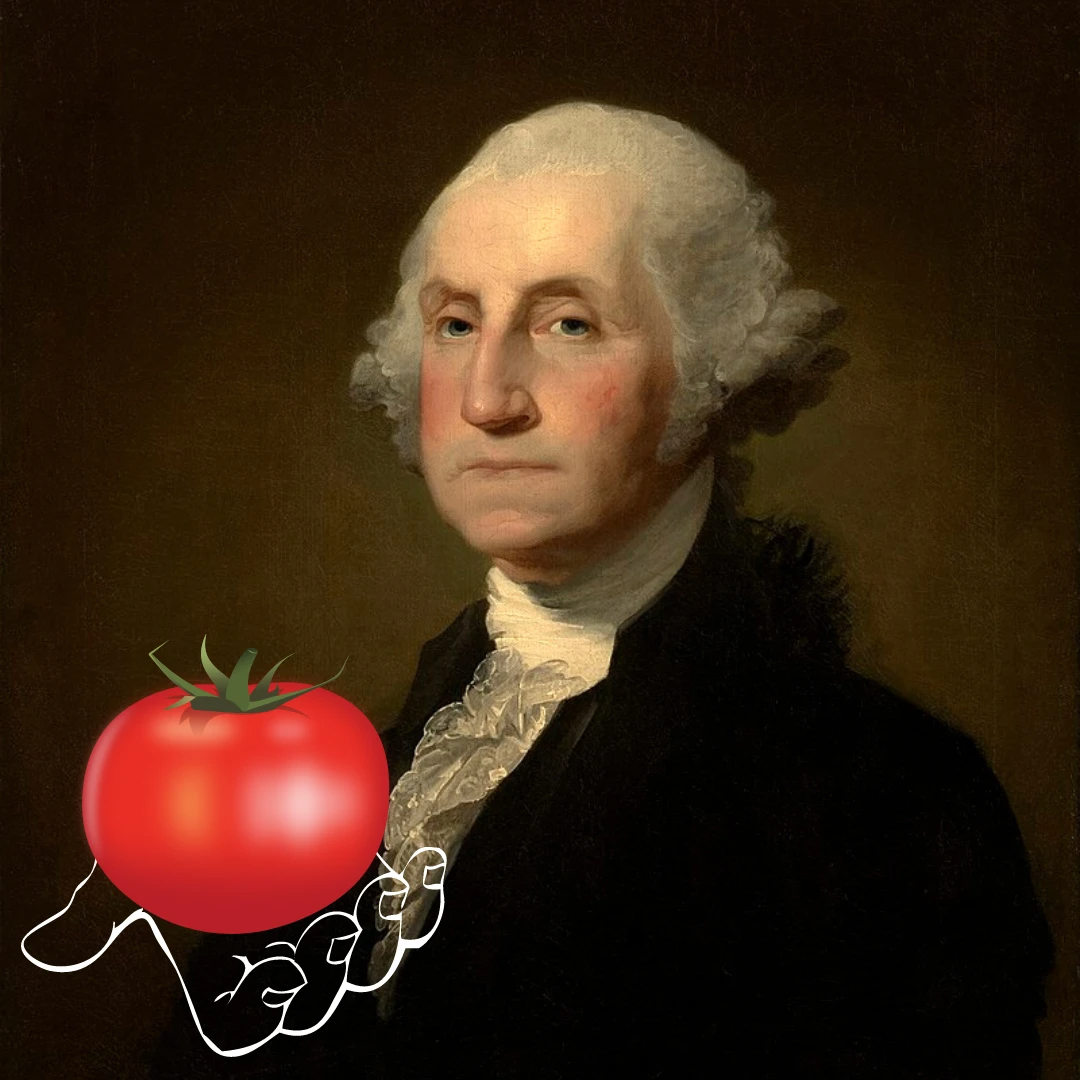 доклад дж вашингтон. George washington was born. George washington was born. джордж вашингтон в детстве. George washington.
