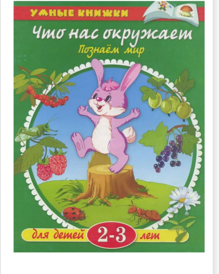 Развивающая литература. Книги для дошкольников 2-3 года. Книжки для детей 2 лет. Дошкольники познают окружающий мир. Обучающие книжки для детей 2-3.
