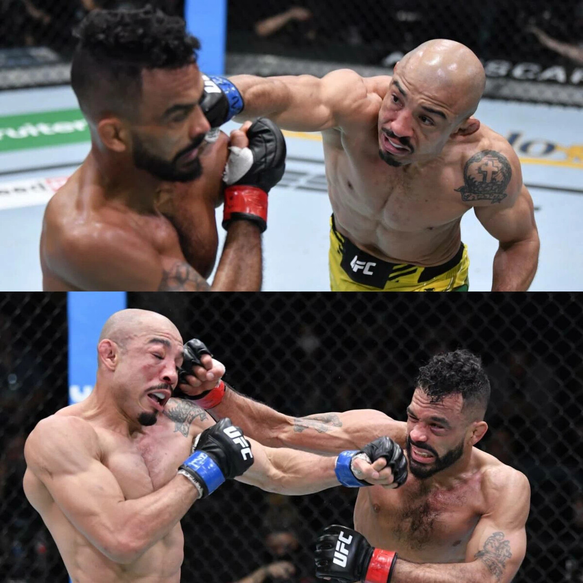 Хайп мма. Хайп мма. Хайп файтинг. Ахмед крик эдельбиев. Ахмед эдельбиев боец.