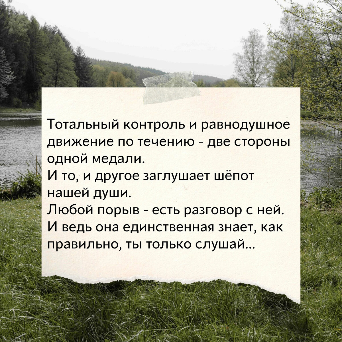 Рассказ на дзен сегодня. Дзен рассказы. Селемпи дзен.