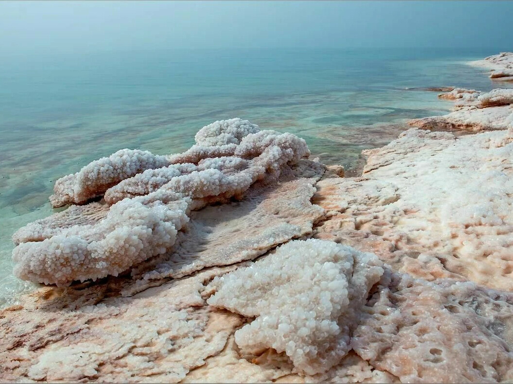 Один из самых соленых водоемов на планете. Мертвое море. Галофиты мертвого моря. Соль мёртвого моря. Берег мертвого моря.